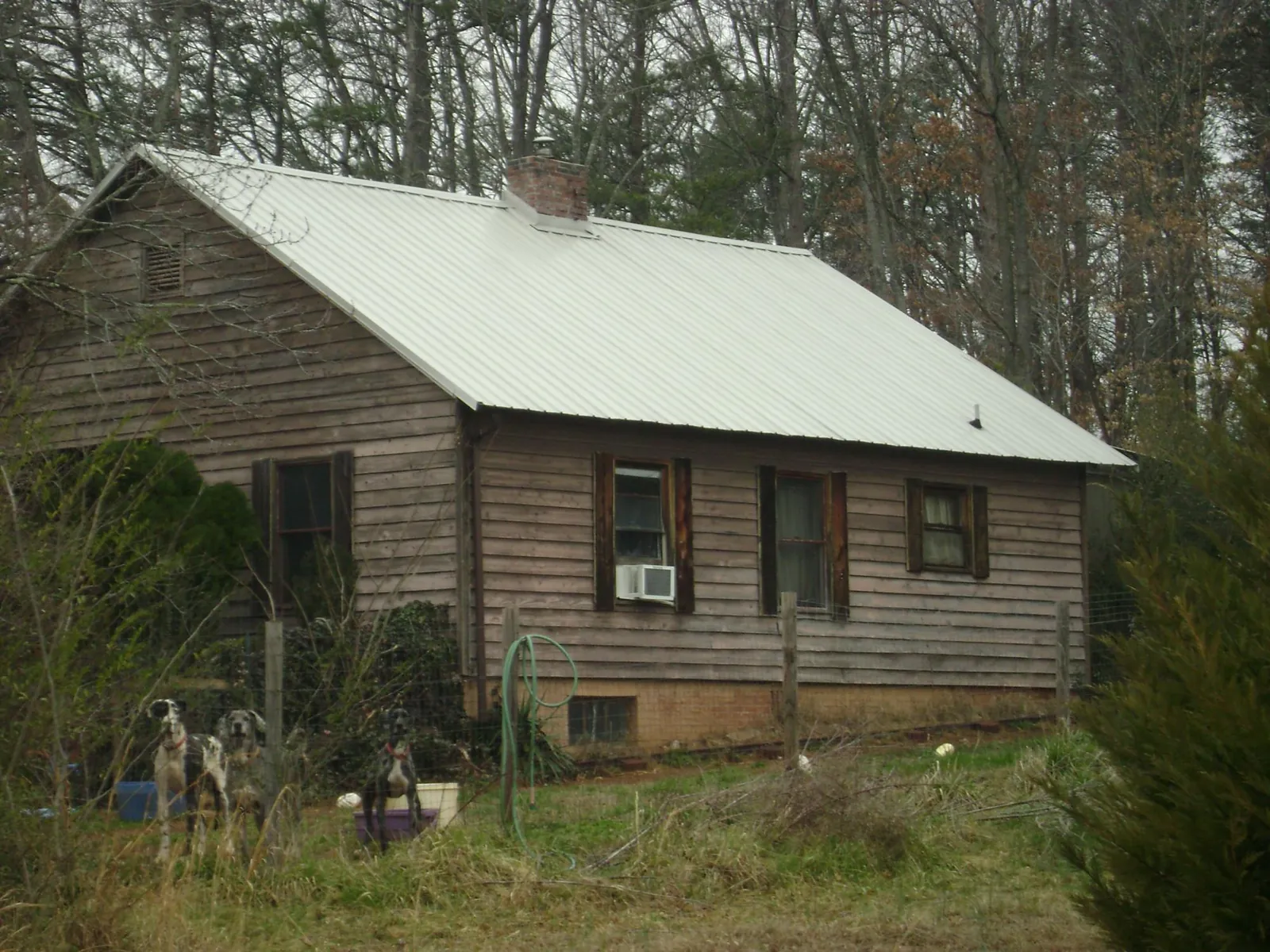 White metal roof on an old wood sided farmhouse, from a Asphalt Shingle Roof Repair job in Verona